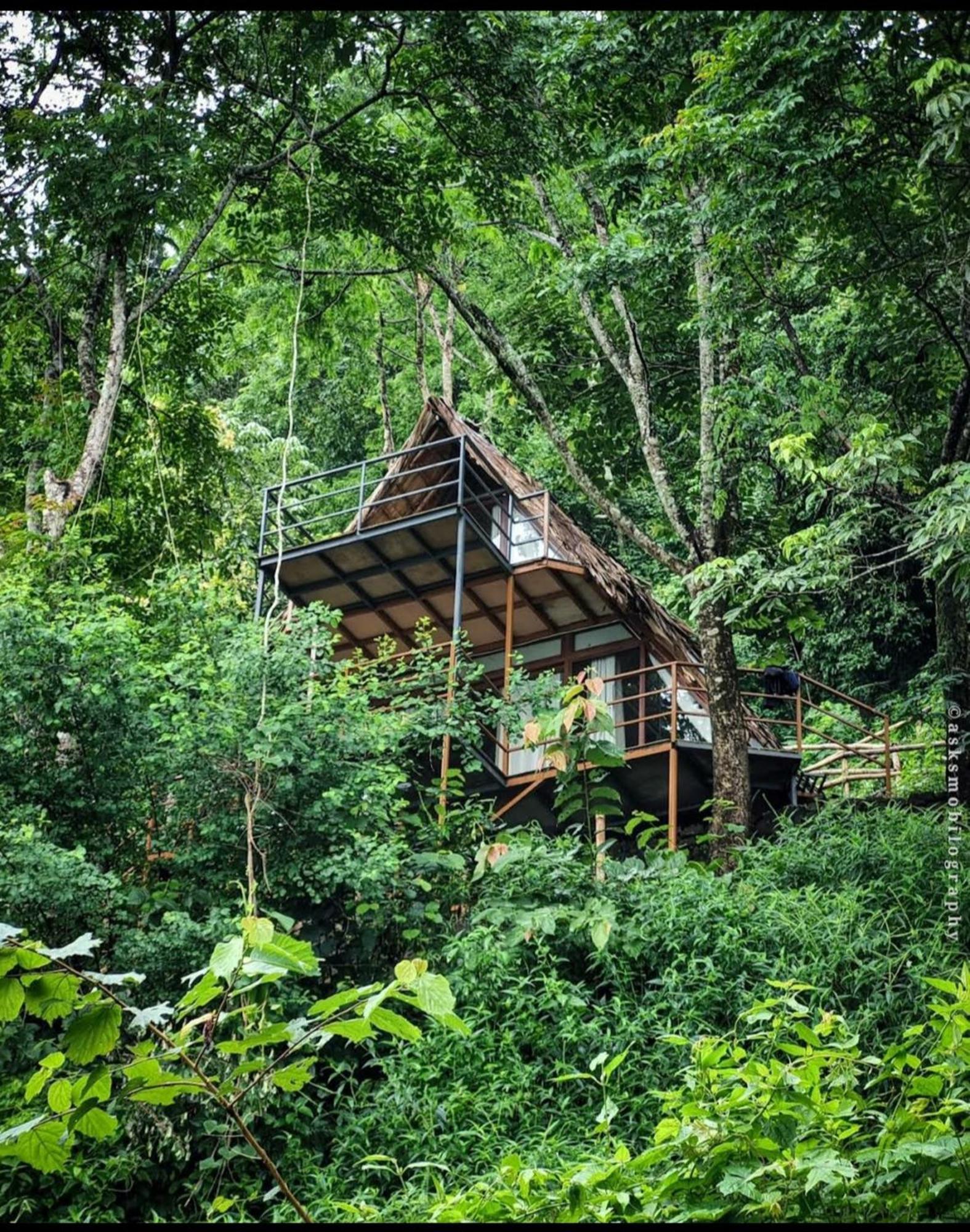 Sunset Valley Kerala Pool Resort - Serene Natural Forest Cottage Stay In Idukki With Sunrise & Sunset Panoramas, Natural Streams & Tranquil Summer Evenings Pirmed Exterior photo